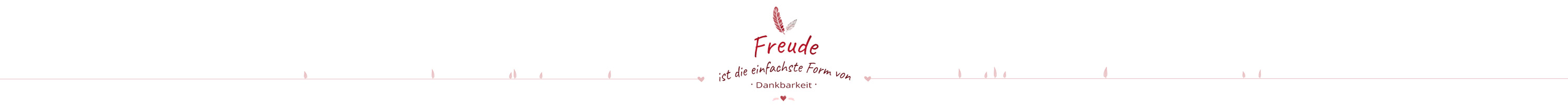Spruch - Freude schenken